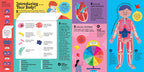The Interactive Human Body