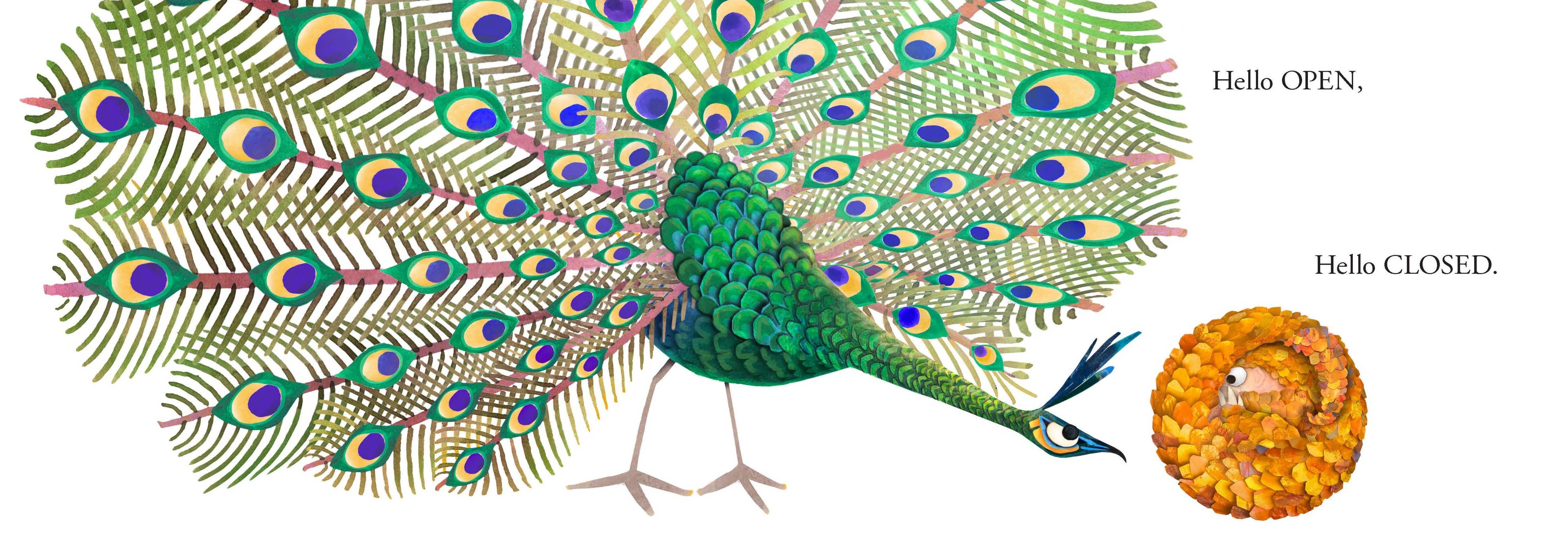 Hello Hello Opposites