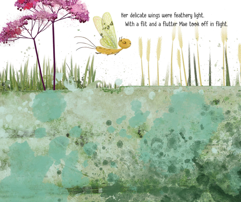 Mae the Mayfly Picture Book
