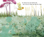 Mae the Mayfly Picture Book