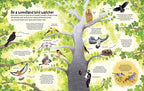 Woodland Book : Usborne