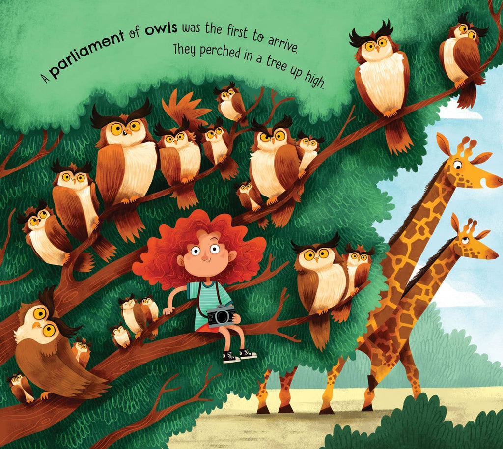 A Parliament of Owls Picture Book