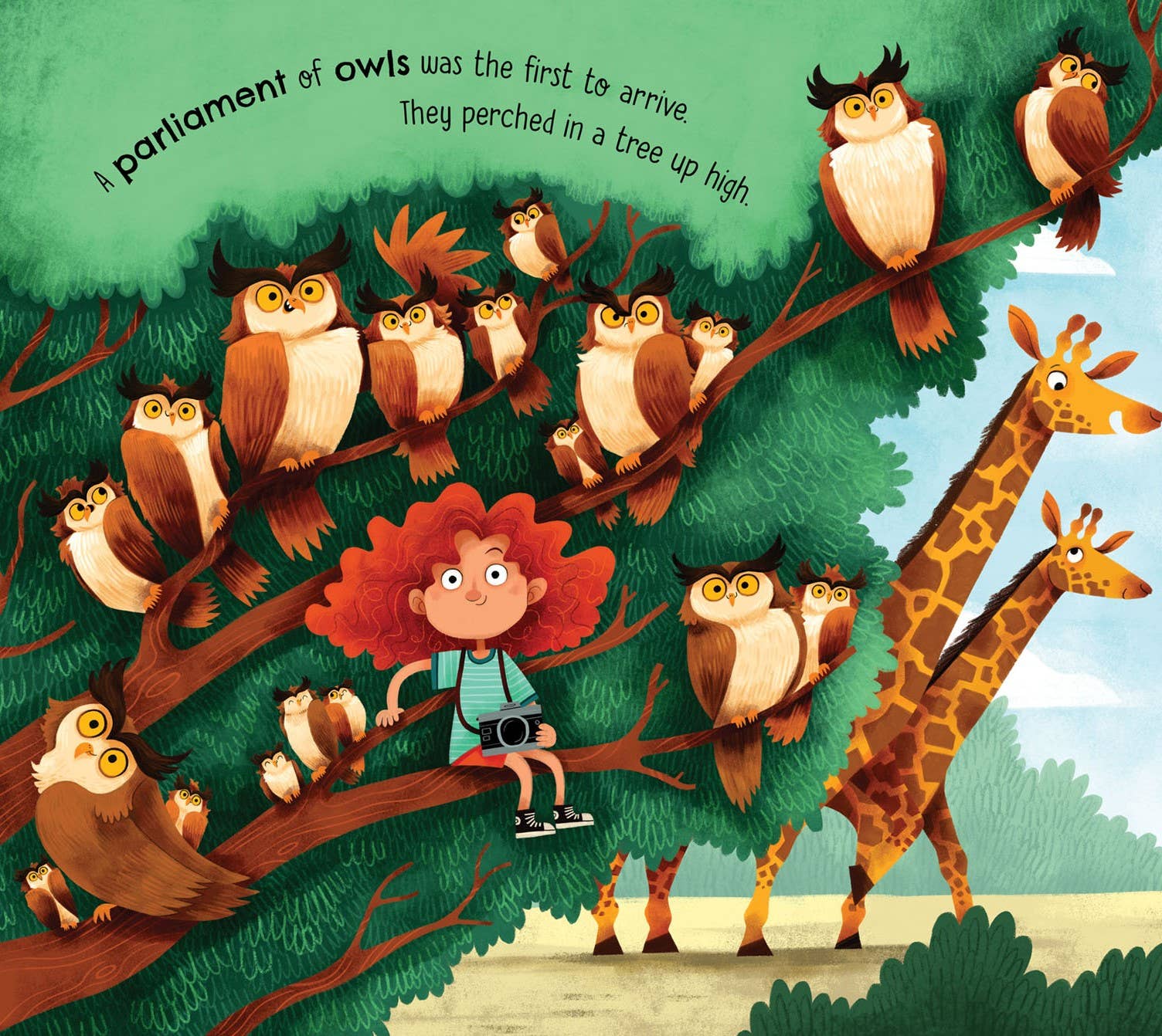 A Parliament of Owls Picture Book
