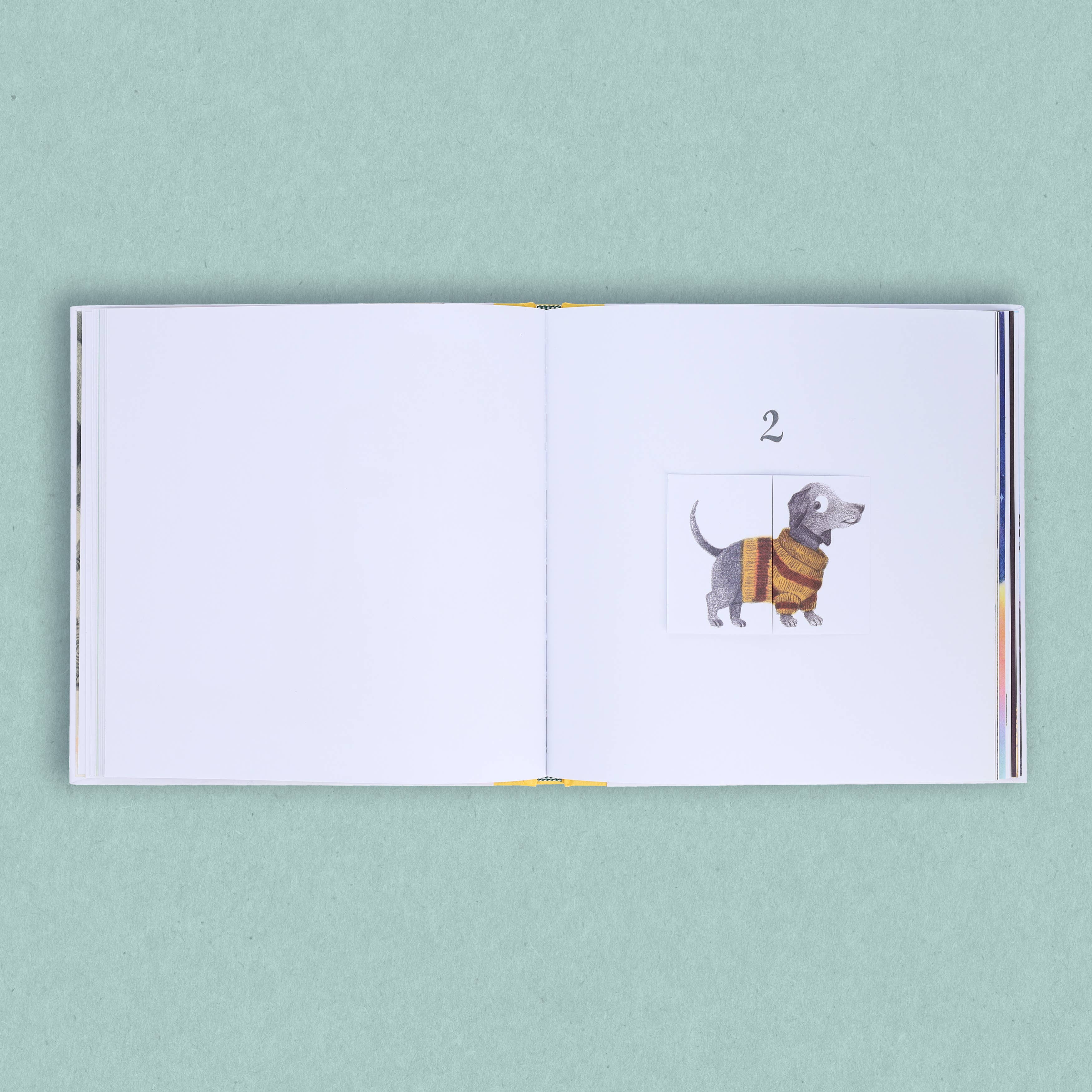 Big and Small and In-Between