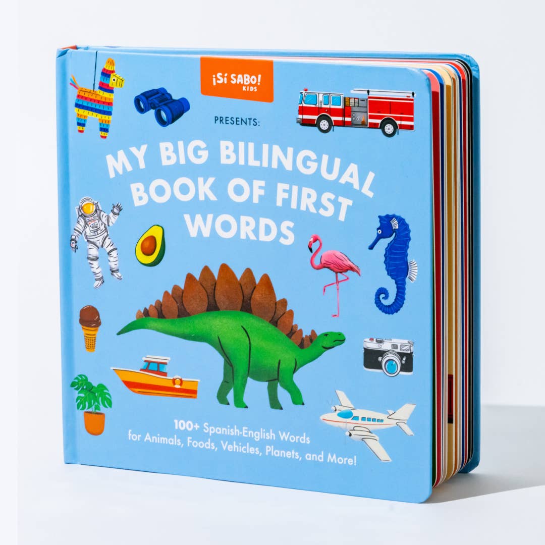 Big Bilingual Book First Words