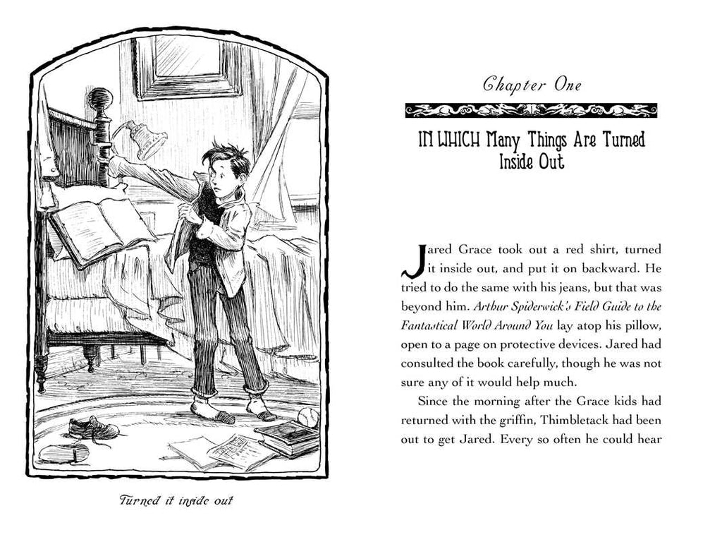 Lucinda's Secret by Tony DiTerlizzi