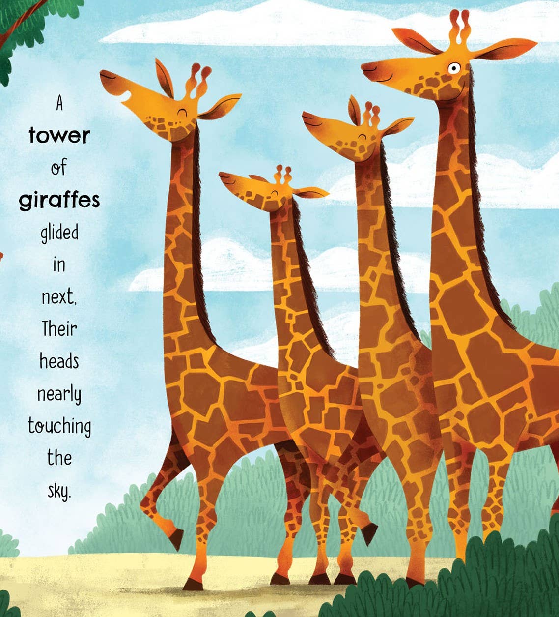 A Parliament of Owls Picture Book