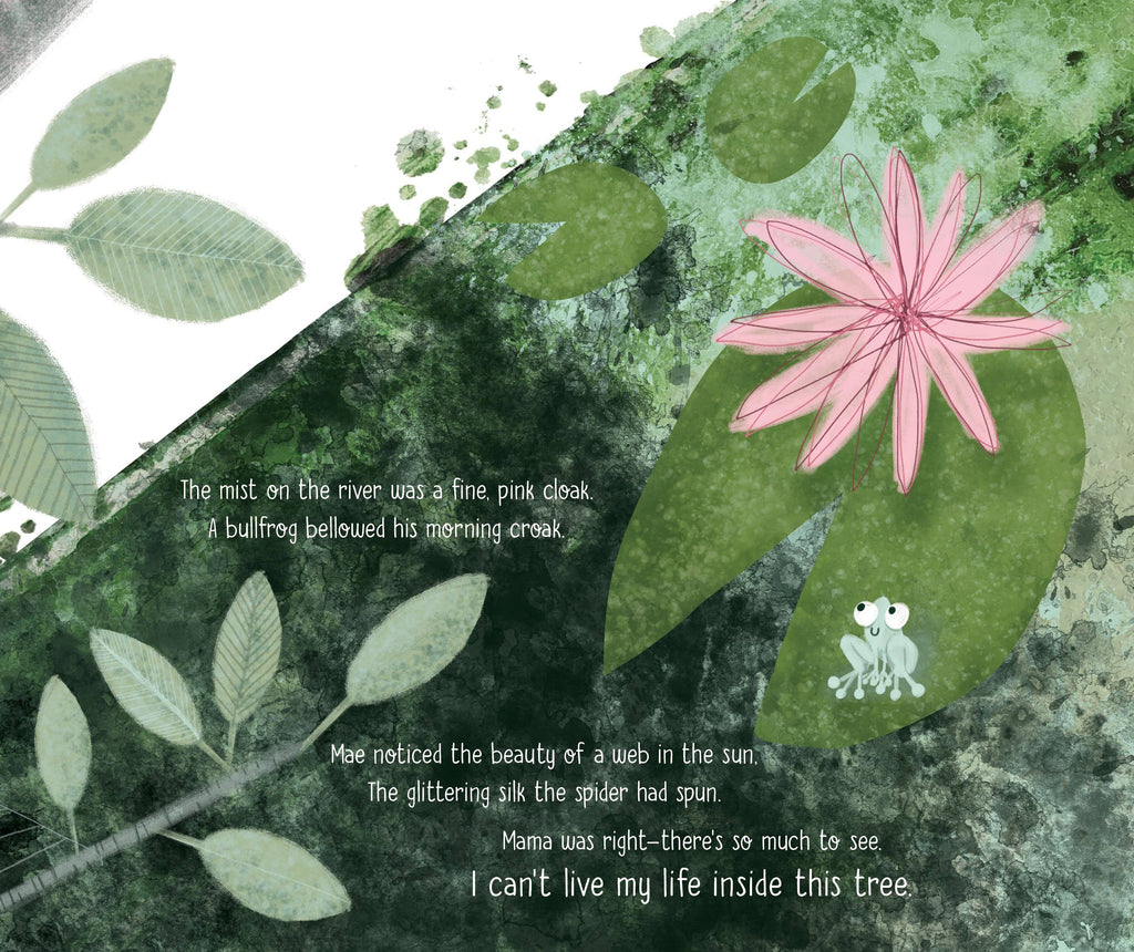 Mae the Mayfly Picture Book