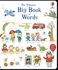 Big Book Of Words : Usborne