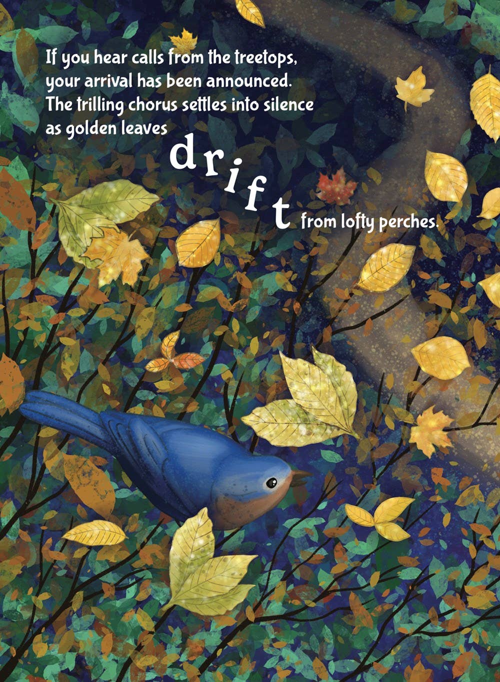 Wonder of the Woods