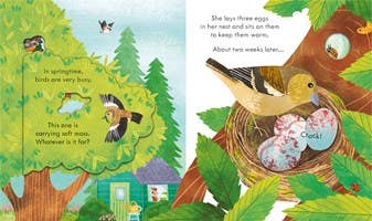 Peek Inside Springtime : Usborne