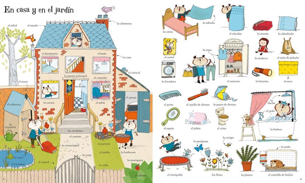 Big Book Of Spanish Words : Usborne