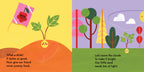 Grow, Seed, Grow!