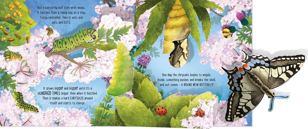Pop-Up Butterflies: Laura Cowan