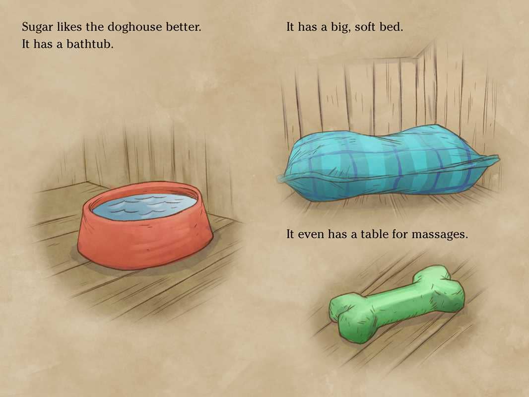 Chicken House by Doreen   Cronin