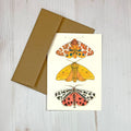 Tiger Moth 5x7" Notecard