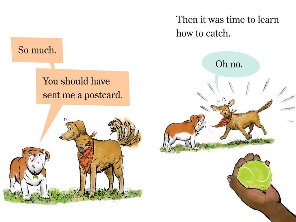 Elvis & Romeo Go to Dog School by David Soman