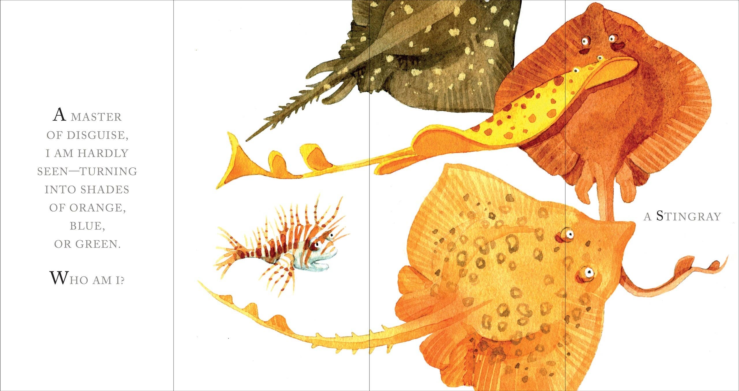 Whose Tail?