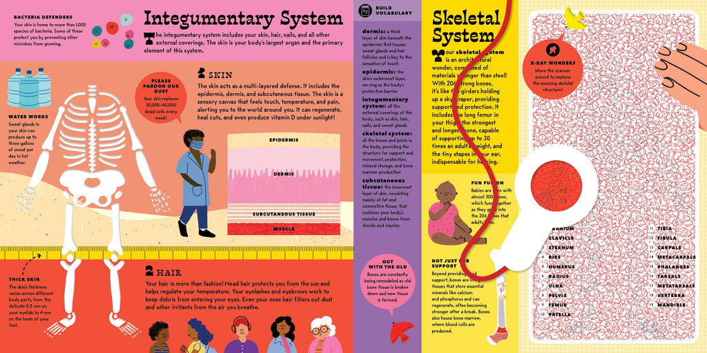 The Interactive Human Body