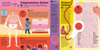 The Interactive Human Body