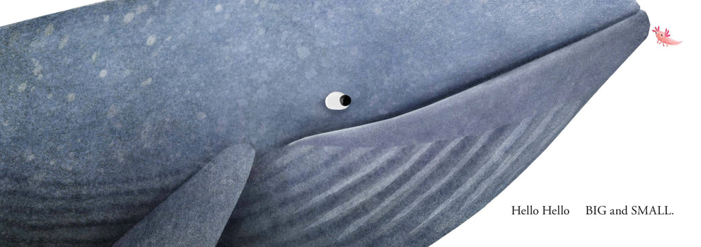 Hello Hello Opposites