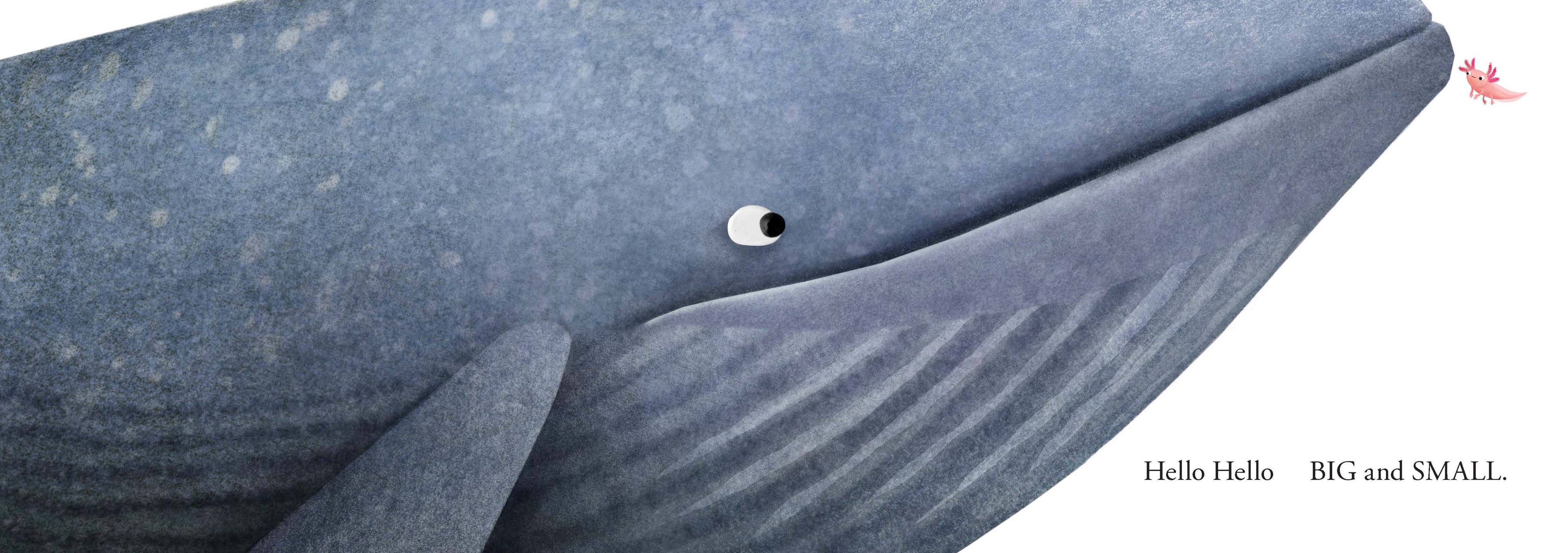 Hello Hello Opposites