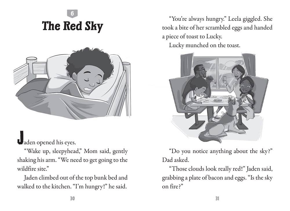 Blizzard Rescue: A Branches Book (Disaster Squad #3)