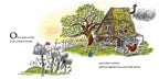 Little Red Hen Board Book, The: Paul Galdone