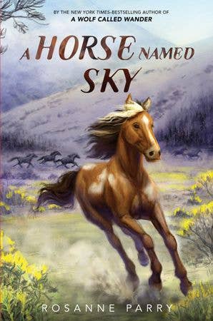 Horse Named Sky, A: Rosanne Parry