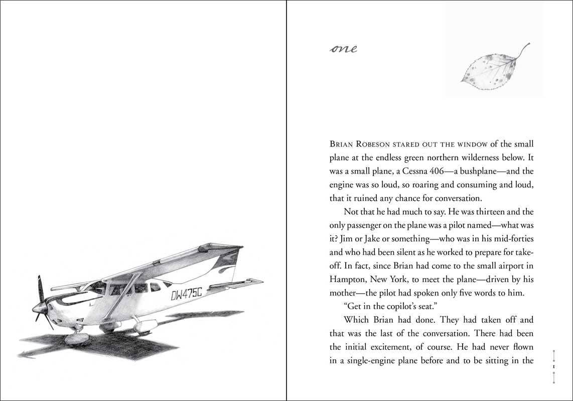 Hatchet by Gary Paulsen