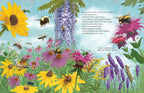 All the Insects in the World