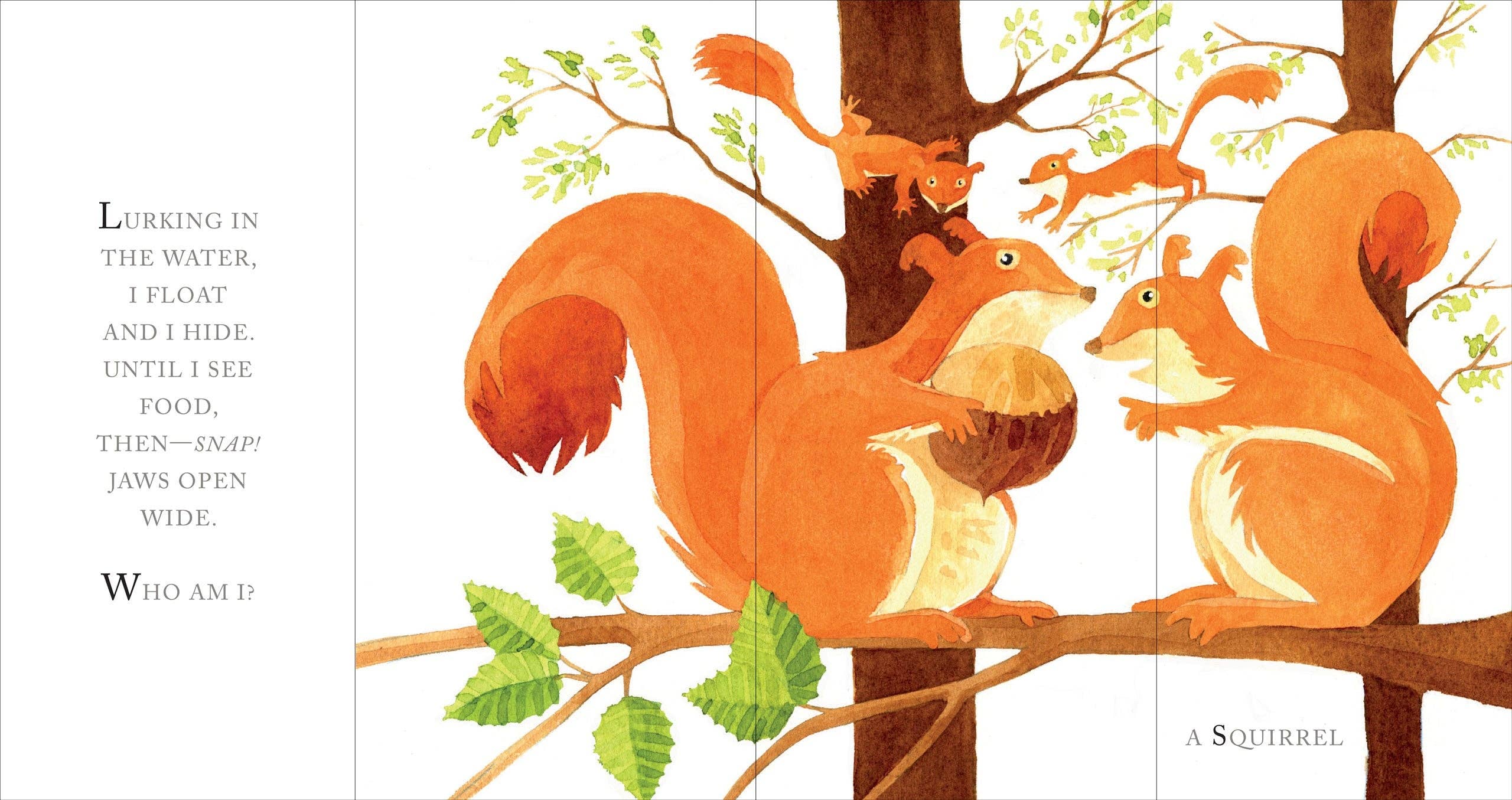 Whose Tail?