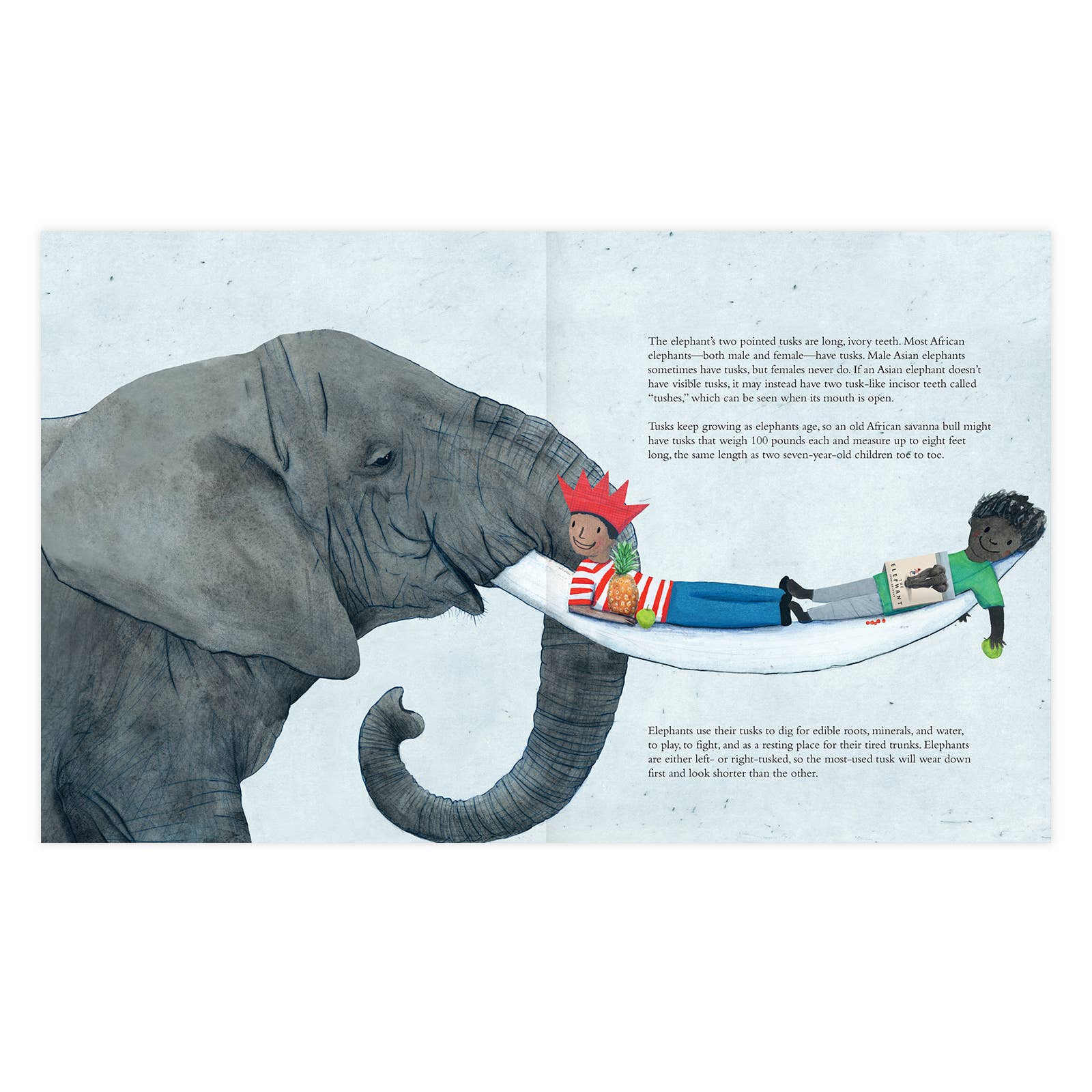 The Elephant