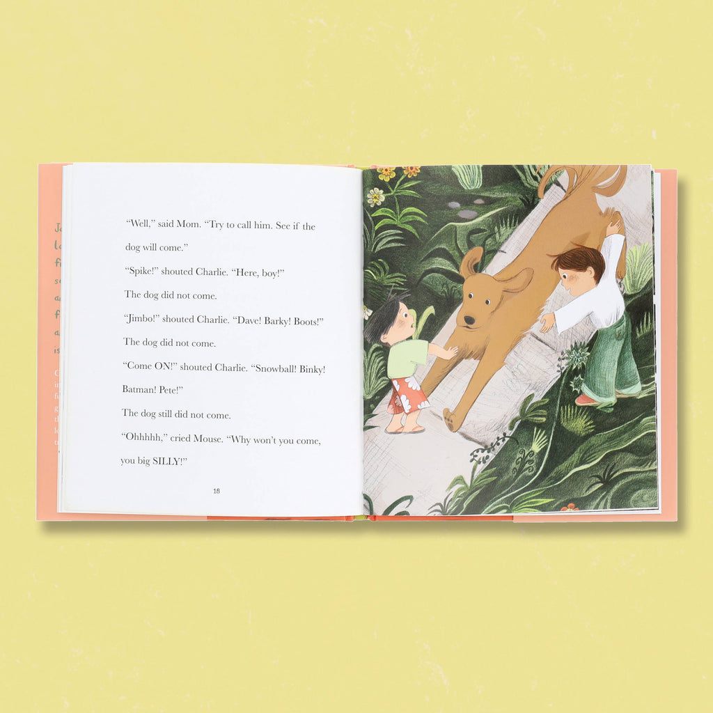 Charlie & Mouse Lost and Found