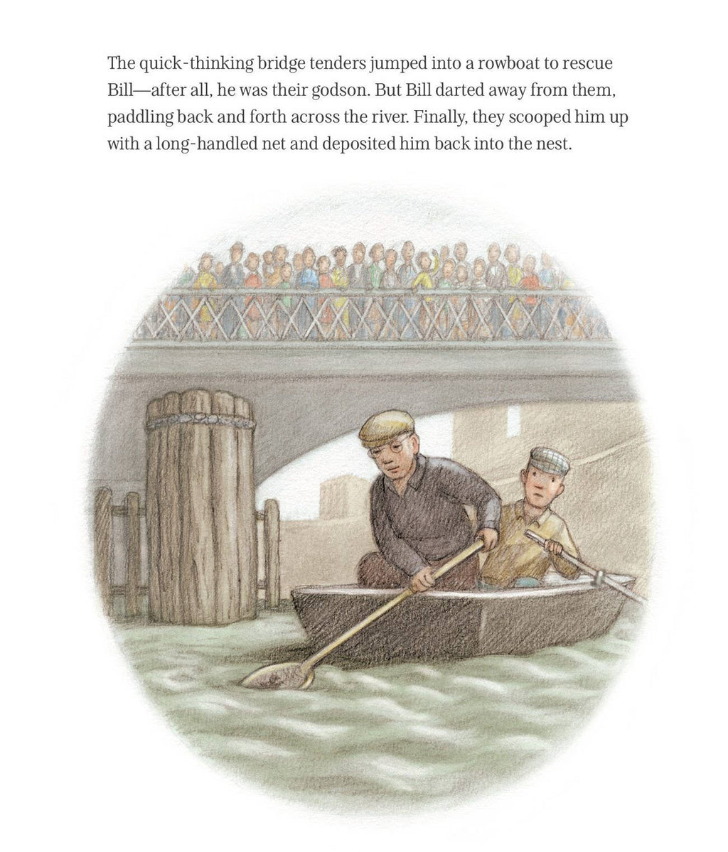 Gertie, The Darling Duck of World War II Picture Book