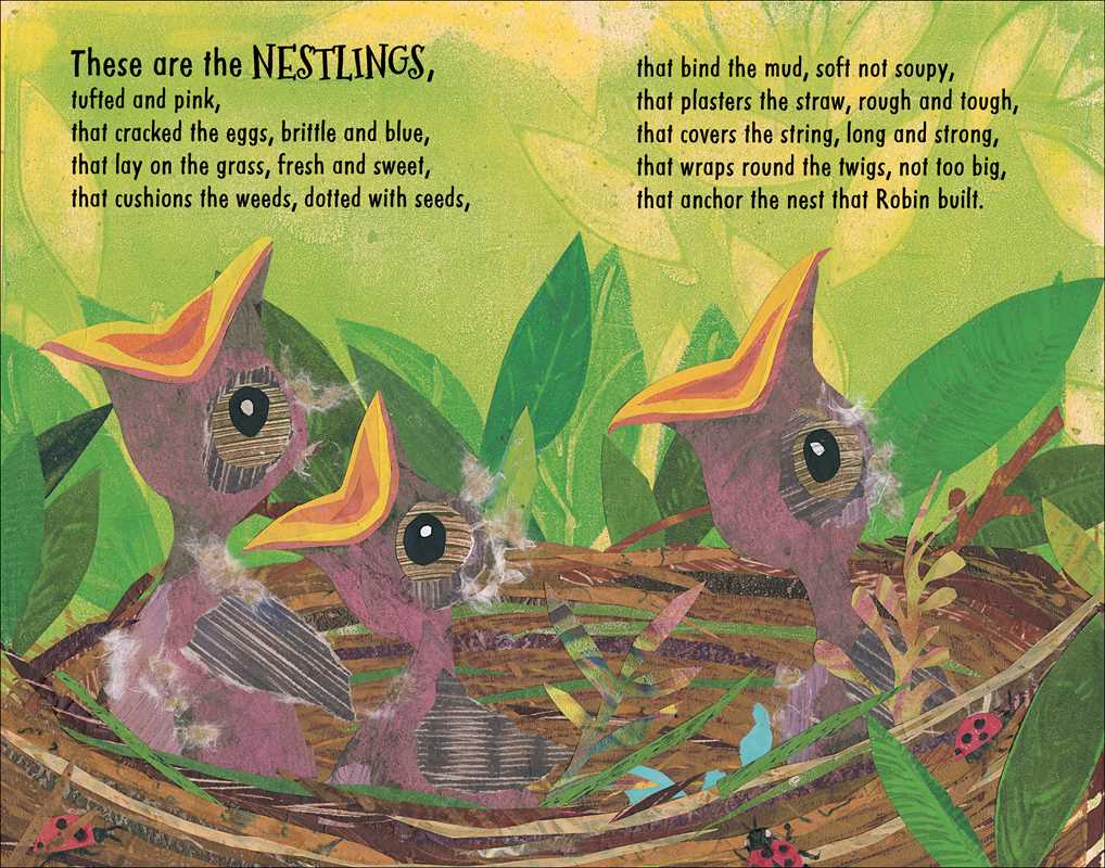 This Is the Nest That Robin Built by Denise Fleming