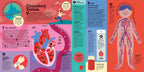 The Interactive Human Body