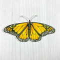 Monarch Butterfly Vinyl Sticker